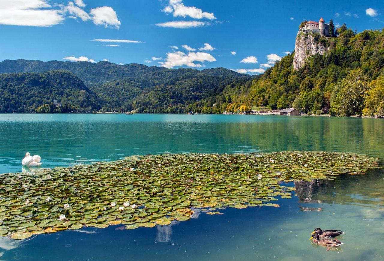 Apartma As Bled Zewnętrze zdjęcie