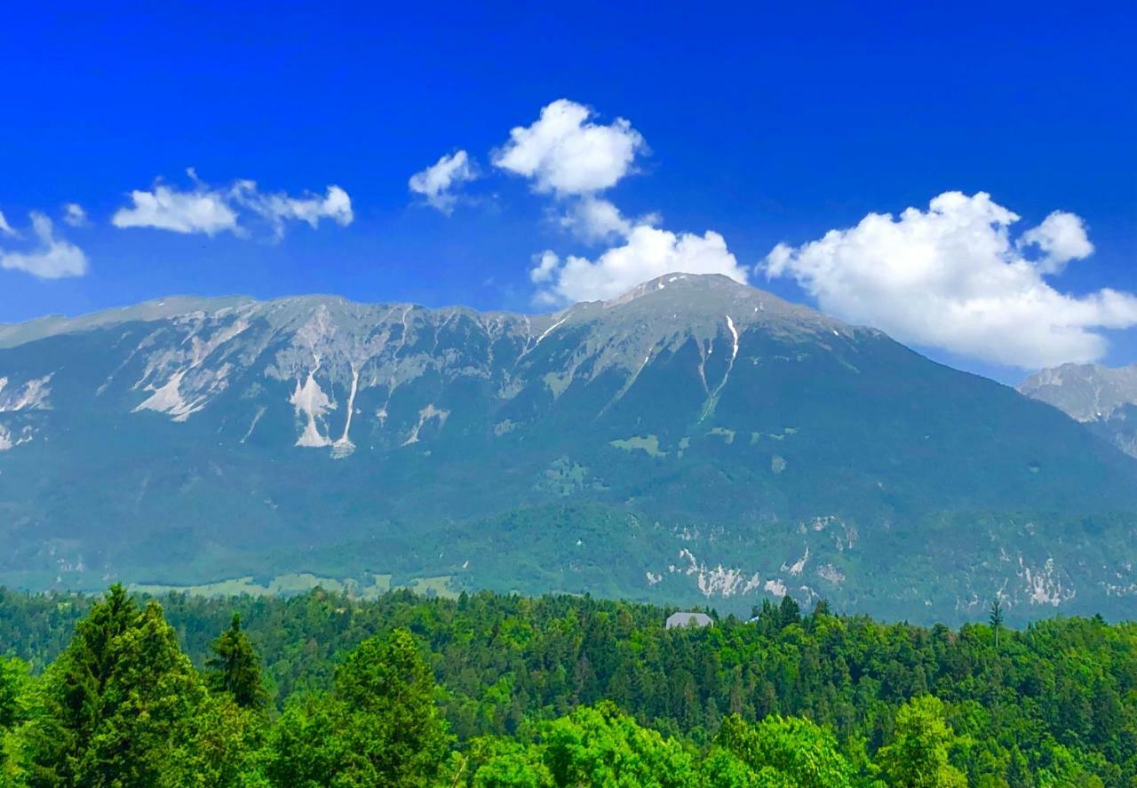 Apartma As Bled Zewnętrze zdjęcie
